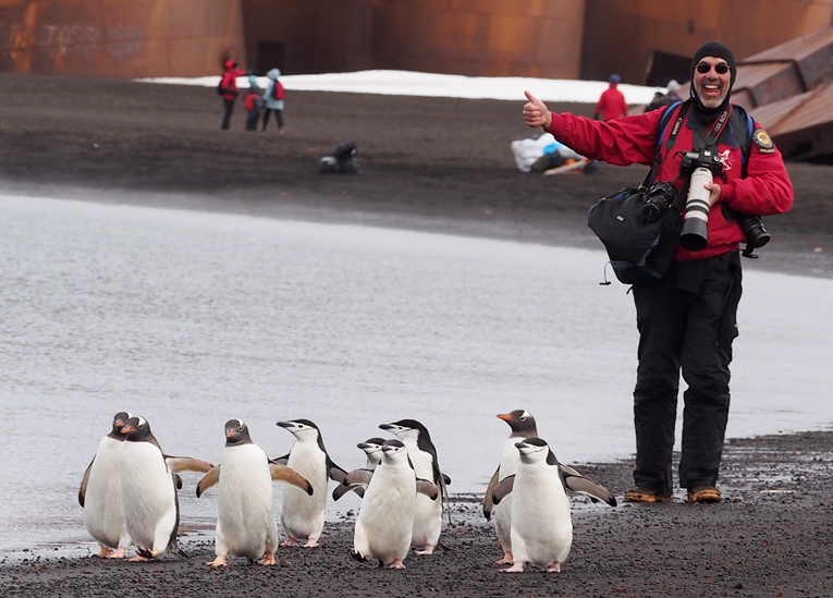 bob and penguins